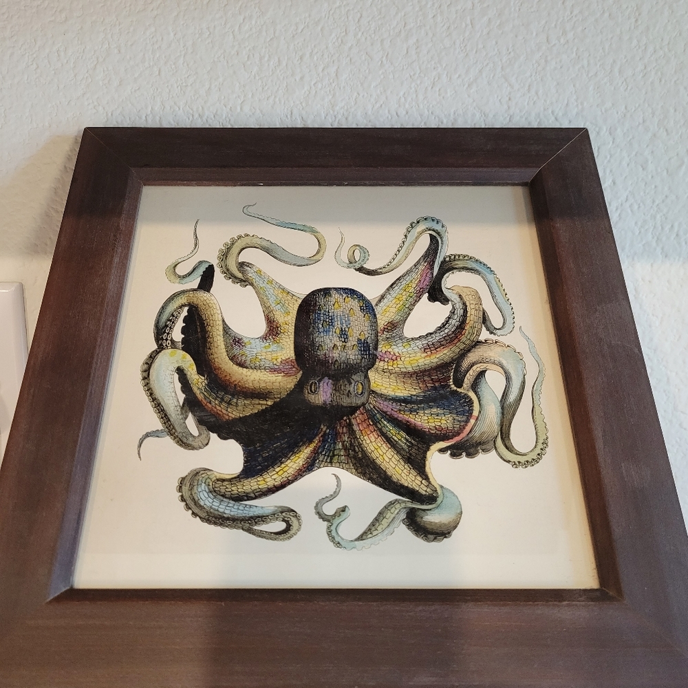 Octopus print